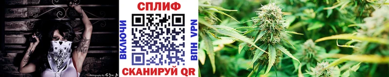 Купить где  Володарск  Бошки Шишки гибрид 